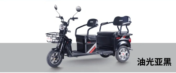 60V500W Passenger Electric Three Wheeler with Low Speed