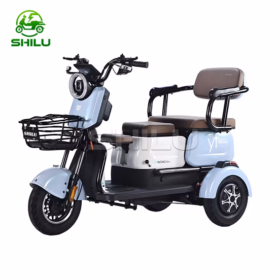 48V 500W komfortables, sicheres elektrisches Dreirad-Dreirad für die Stadt